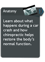 Auto Accident Videos